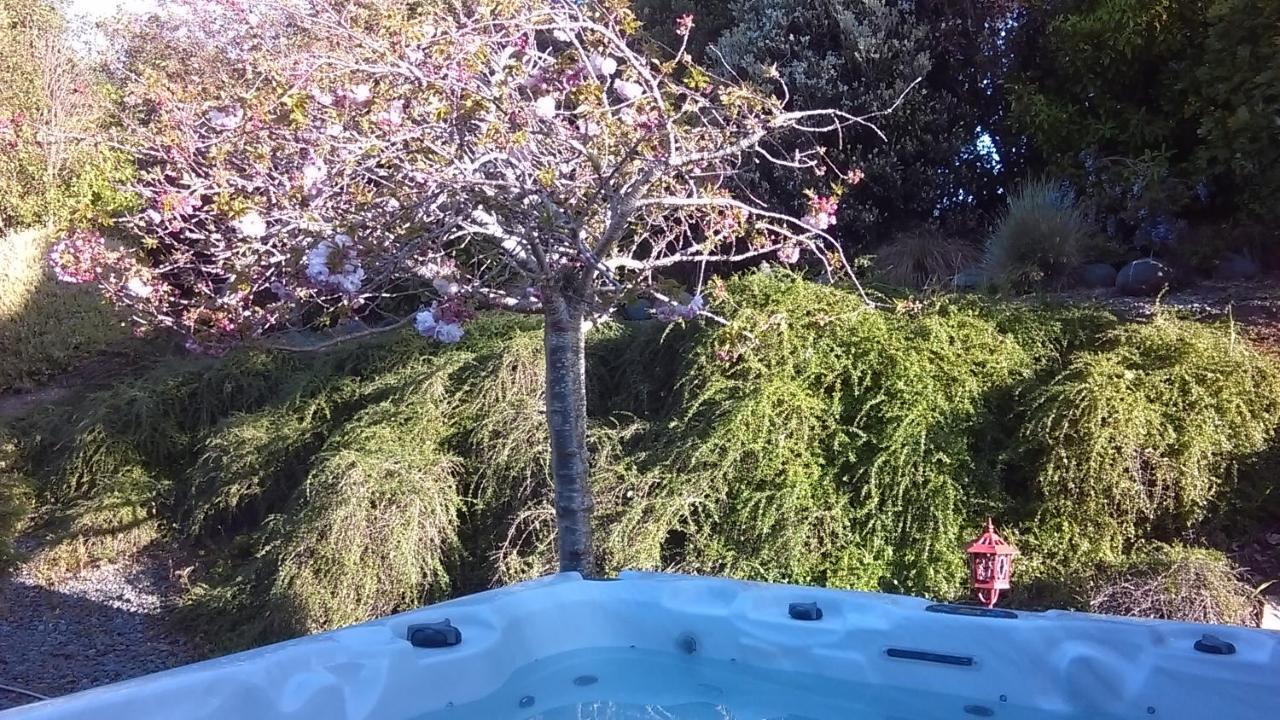 Shurinji Whanganui Zewnętrze zdjęcie